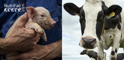 Mød os på NutriFair d. 14. eller 15. januar 2026