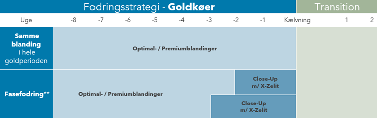 Goldkøer - skema til overblik over fordringsstrategier