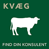 Find din DLG konsulent - kvæg